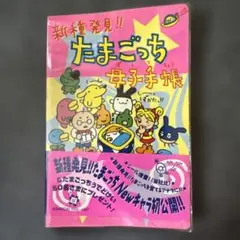 2005年9月号小学5年生 ポケモンカード「ミュウ」と付録つき091/PCG-P