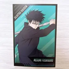 呪術廻戦 伏黒恵 ランダム缶バッジとアニメイト購入特典のセット 死滅回遊