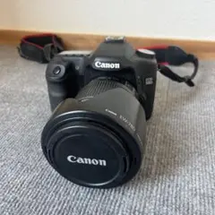 Item thumbnail for item 7077fb77-75eb-46b4-87bf-8e3f67c611fd