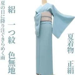 ゆめsaku 美品未着用 夏着物 正絹 絽 仕付け糸 手縫い 色無地 P-290