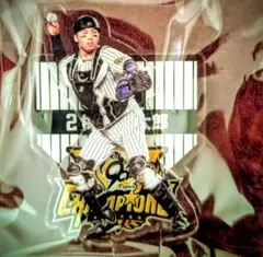 梅野隆太郎 記念グッズ