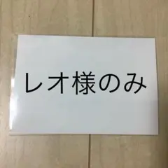 レオ様のみ