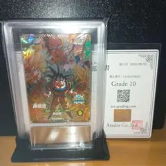 ARS鑑定 Grade 10 孫悟空 SDV3-002 GDR