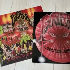 2026年最新】pantera lpの人気アイテム - メルカリ