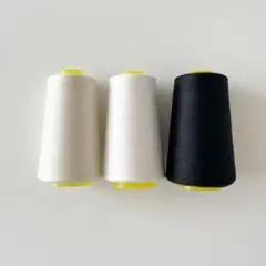 Item thumbnail for item a4efe736-27f7-4682-8692-0897b21d6fcf