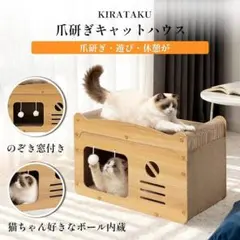 Item thumbnail for item e1e10c13-de8c-40fd-bf20-a99b9f19b0db