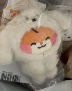 ZB1 zeroni ぬいぐるみ マグネットフォトホルダー ハンビン ビニニ