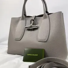 ドンタコス 様専用✨ロンシャン　ロゾM 2way ハンドバッグ