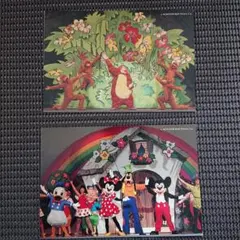 東京ディズニーランド ポストカード 2枚セット　使用済