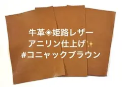 Item thumbnail for item 8386e78f-acfc-4f00-940d-15673474aa28