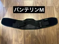 バンテリンサポーター腰用のサムネイル