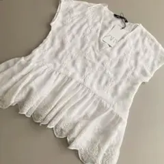 Zara シフォンブラウス 刺繍