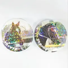ダービー馬列伝くじ トウカイテイオー スペシャルウィーク ホログラム缶バッジ