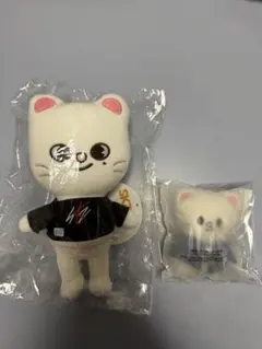 U:ZOOSIN キム・ヒョンジュン ぬいぐるみ 記念品 - メルカリ