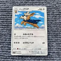 ポケモンカード ハーデリア ふるいたてるのサムネイル