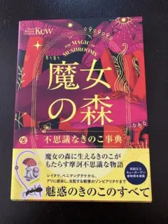 シンコネ様 リクエスト 2点 まとめ商品