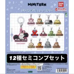 セミコンプリート　MINITEEN ぷっくりめじるしアクセサリー