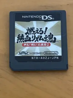 DS 燃えろ！　熱血　リズム魂　押忍！闘え！応援団2