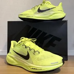 【良品】NIKE AIR PEGASUS 41 Volt x Black 29のサムネイル