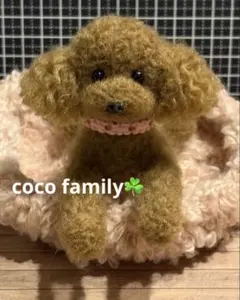 羊毛フェルト 毛糸 トイプードル（レッド）ベット付き❣️