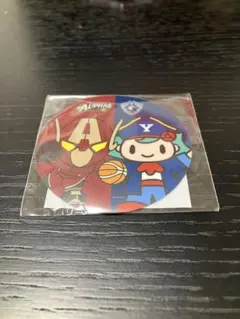 さらだ様 リクエスト 2点 まとめ商品