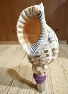 Item thumbnail for item 66824c2a-f81c-4f2e-8edf-3eb2ce373dfc