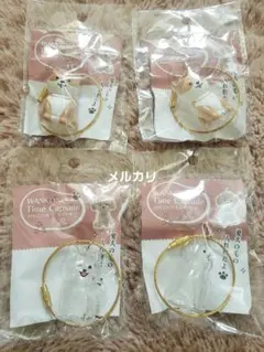 わんこのタイムカプセル