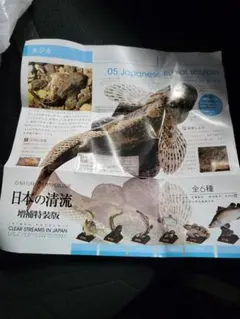 ネイチャーテクニカラー 日本の清流 増補特装版 カジカ フィギュア