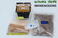 あっちゃん様 リクエスト 2点 まとめ商品