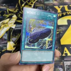 2026年最新】WINDS OF VICTORYの人気アイテム - メルカリ