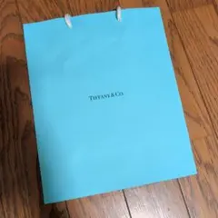 Tiffany & Co. 水色ショッピングバッグ 約20cm x 25cm