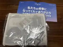 Stray Kids RUN IT アプグレ特典 銀テ スローガ付 福岡 スキズ
