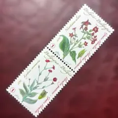 Item thumbnail for item 6ded54cd-d81f-4613-9235-c333aa0320dd