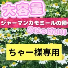 ちゃー様 リクエスト 2点 まとめ商品