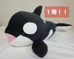 ☆0rca☆様専用】須磨シー オルカくじ シャチ ぬいぐるみ 1等&2等