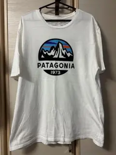 PATAGONIA 1973 ロゴ Tシャツ ホワイト　オーガニックコットン