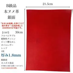 Item thumbnail for item 0583eaf9-c05b-4583-a46f-6bd279ee33d0