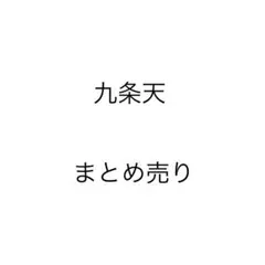 九条天 50点 まとめ売り アイナナ アクスタ ぱしゃこれ 缶バッジ Expo