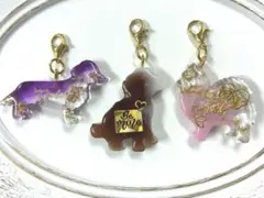 犬　チャーム　ダックス　トイプー　ポメ