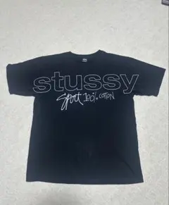 Stussy Tシャツ 2枚セット
