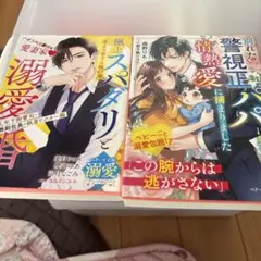 極上スパダリと溺愛婚～年下御曹司・冷酷副社長・執着ドクター編～【ベリーズ文庫溺…