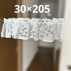 Item thumbnail for item 1d307e56-ba8b-4aac-bbd7-eceb57cc0f65