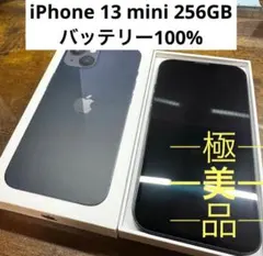 iPhone 13 mini ブラック　256GB SIMフリー本体