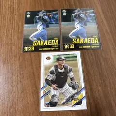 Item thumbnail for item 299f116d-8dc7-4273-8d46-fb03c1bf95d4