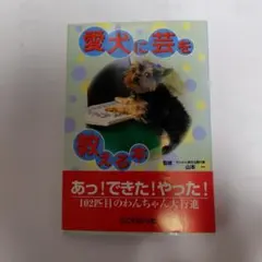 Item thumbnail for item 99b323e2-d996-43fd-bbcd-5d65d2be9942