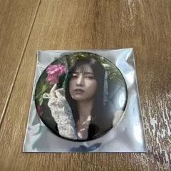 池田瑛紗『Wings:あひるの夢』 個展 缶バッジ ②