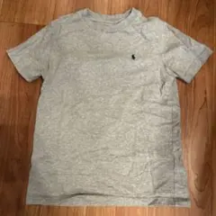 Polo Ralph Lauren グレー Tシャツ 7サイズ