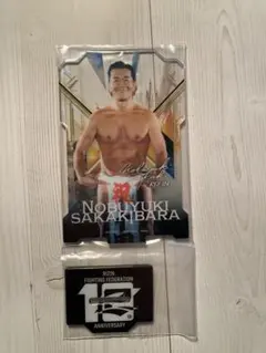 Item thumbnail for item bc244e23-bc15-4074-9b21-bf358c86539e