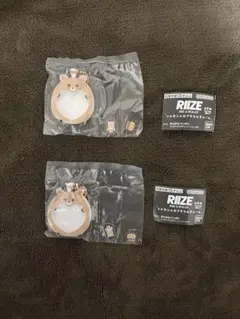RIIZE ソンチャン　シャカシャカアクリルチャーム ガチャ　2個