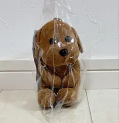 ちるぬい Sexy Zone いぬ timelesz